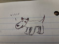 Dog doodle