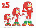 Happy 25th Anniversay, Knuckles!
