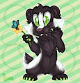 Butterfly Skunk