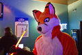 Foxy at the Foxtrot