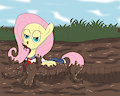 Muddy sailor pony fluttershy