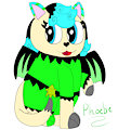 (New OC) Phoebe The Cat With Bio