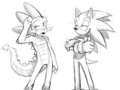 Sonic & Spike...