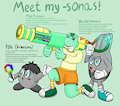 Meet my -sonas!