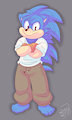 Sonic Redesign by RoareyRaccoon
