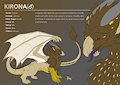 Commission - Kirona Character Sheet (Wings) by besonik