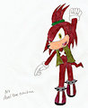 Axel the Echidna by MidnightPrime