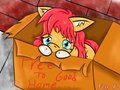 Obligatory Pony in a Box~ by Dirtypawz