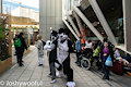 ACE the Fitness Collie and Cody at LondonFurs 304