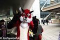 Xavier Fox at LondonFurs 304