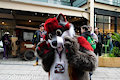 Shadow Raccoon at LondonFurs 304