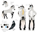 Piper Character Sheet by PiperLikesApricots