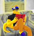 A derg reading a book