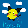 Pichorb!