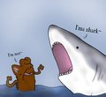 SHARK WEEK~