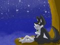 All of the Stars for You by AkaiKitsune