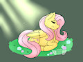 Flutters from the stream