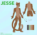 Jesse Cat Ref Sheet 2