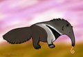 anteater~