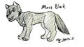 Artist Challenge #2: Mace Black