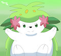 Shaymin by TommotheCabbit