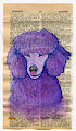 Purple poodle - Mothers day gift
