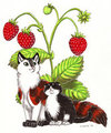Strawberry kittens by Ikirouta