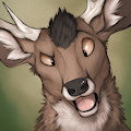 Vance Icon Commission