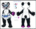 Pandr Panda reference sheet