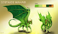 Green dragon- character sheet