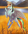 Rainbow Dash