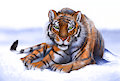 Snowy tiger by FuzzyMaro