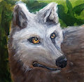 Wolf in Oils by Arvetis