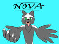 Nova Huggles by XanderJL