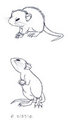 Rat Pup Sketches