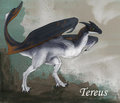 Tereus by d3monstar