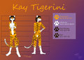Character Sheet - Tyger (Clean version)
