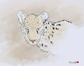 Cheetah Doodle