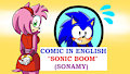 Sonic Boom-SONAMY (SonicxAmy)
