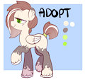 Pony Adopt-Bid