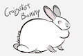 Fat Craigslist Bunny