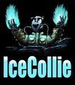 IceCollie badge