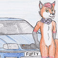 Fuffy Fox's VW Polo