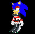 Sonic Rouge Heroes Beta Black Leather