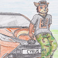 Cyrus's Toyota Aygo