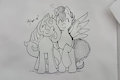 Comm: Brony Couple