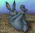 Commission: Rabbit Hogtied by raptorroper