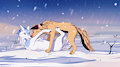 In the Snow (by Silianior) by Kinaj