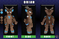 (comission)Brian Ref sheet