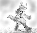 Lucario Walkies